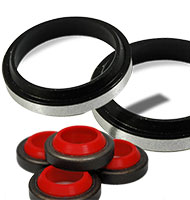 Imagen de Categoría