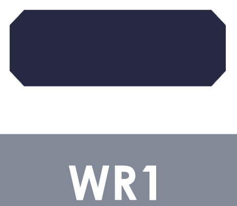 WR1-ANILLO GUIA DE DESGASTE 3250X3000X250 Pulg